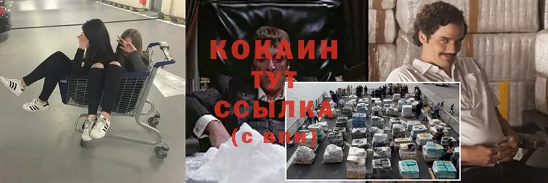 как найти закладки  Буй  Cocaine Fish Scale 