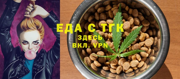 шишки Белая Холуница